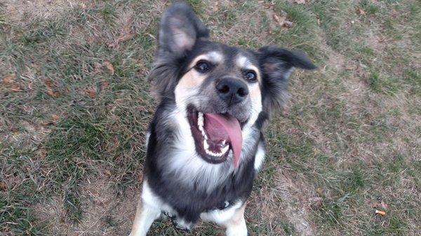 photo of Largemouth F.