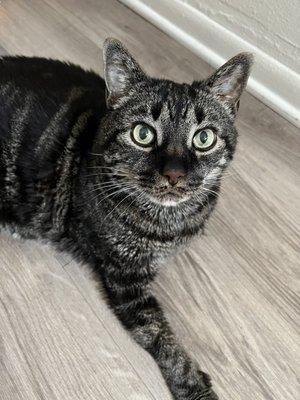 photo of Alexandria F.