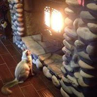 Photo of Shannon N P.