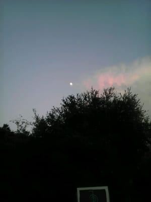 photo of Jennifer E.