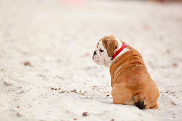 photo of Agnieszka B.