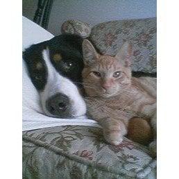 photo of Storyinadream K.