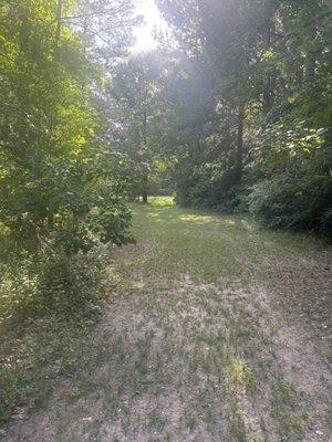 Photo of Guadalupe E.