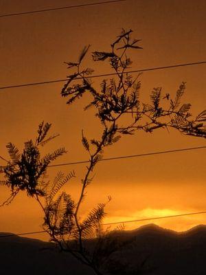 photo of Johnelle H.