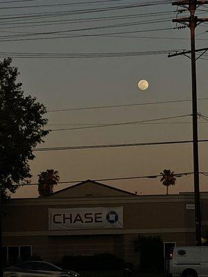 photo of The Real Official Critic ..