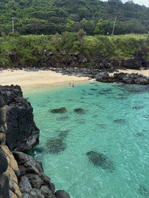 Photo of Severino C.