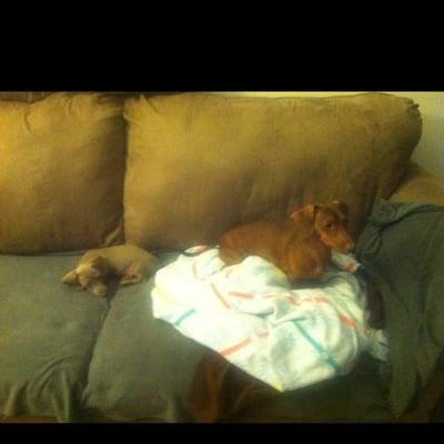 photo of Michelle N.