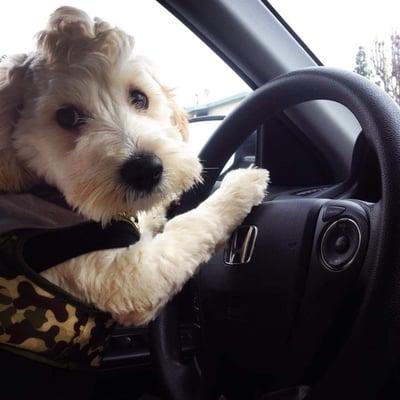 photo of Mercedes H.