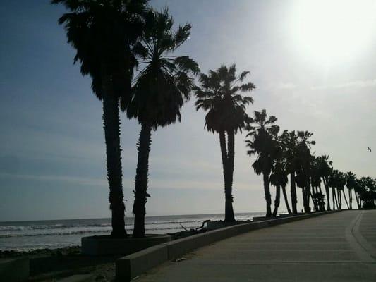 photo of Stephanie G.