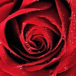 photo of Jennifer Q.