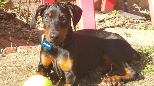 Photo of Stephanie C.