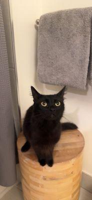 photo of Clarissa P.