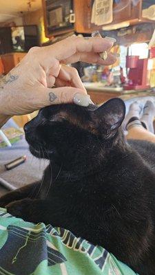 photo of My Full Time R.