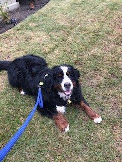 photo of PaulaFraser C.