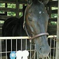 photo of Stephanie C.