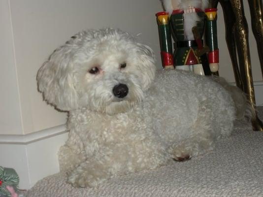Photo of lana v.