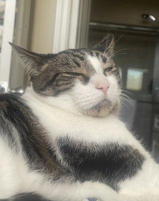 photo of Alexandria S.