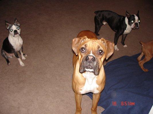 photo of Michelle S.