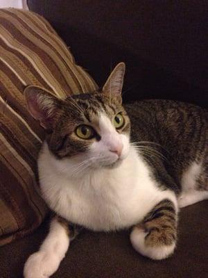 photo of Jennifer B.