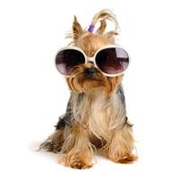 photo of Christine M.