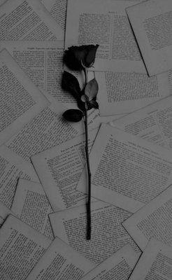 Photo of Aeris L.
