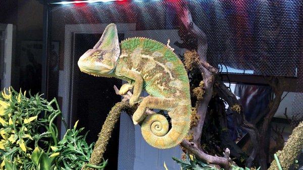 photo of Emmanuel M.