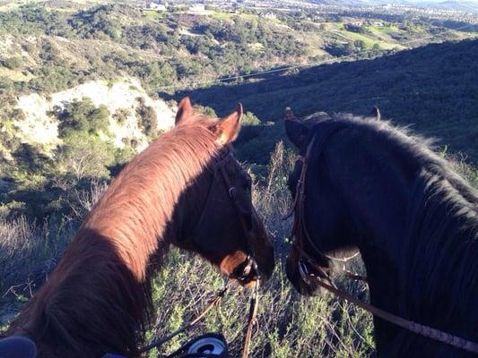 photo of Penelope S.