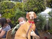 photo of Pauletta M.