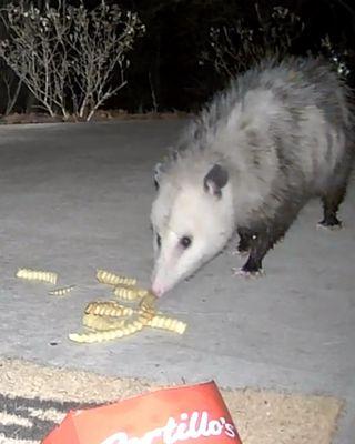 Photo of Marissa M.