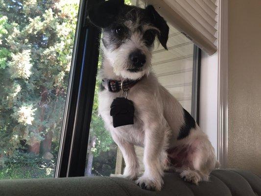 photo of Culinary C.