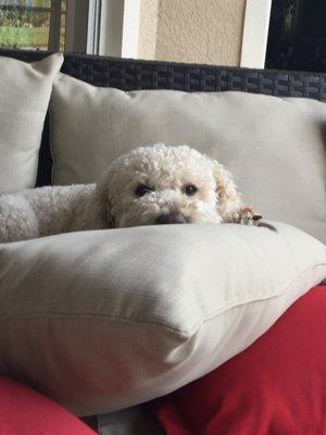 photo of Dawn Marie R.