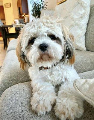 photo of Jennifer C.