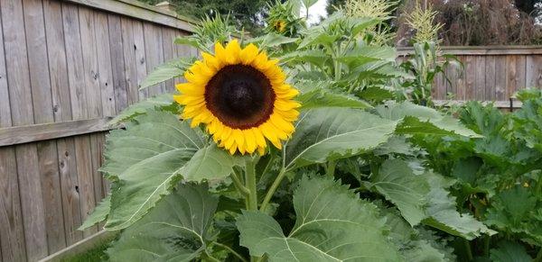 photo of Michelle S.