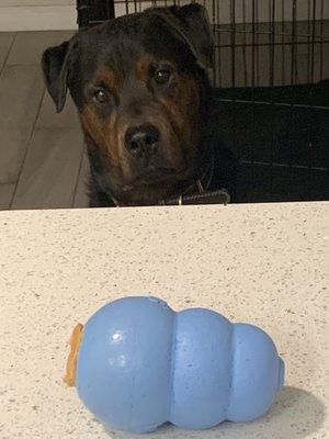 photo of Scott Aj W.