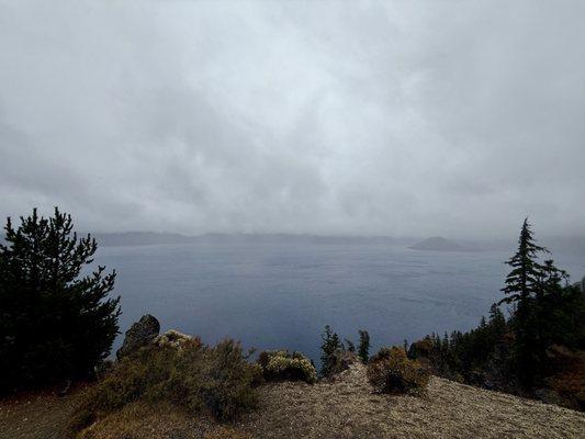 Photo of Katherine Z.