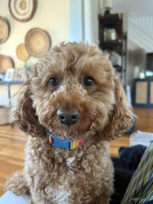 photo of Emily L.