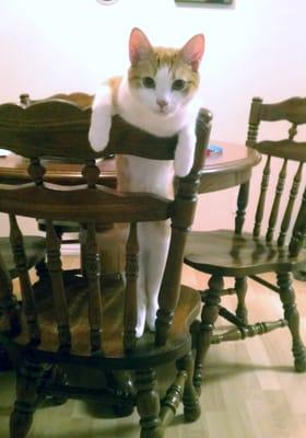 photo of Michelle H.