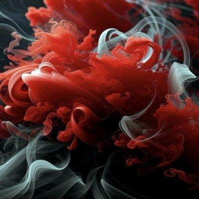 photo of Savannah A.