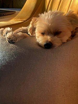 photo of Jennifer M.