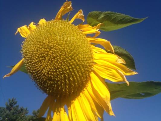 photo of Cathleen C.