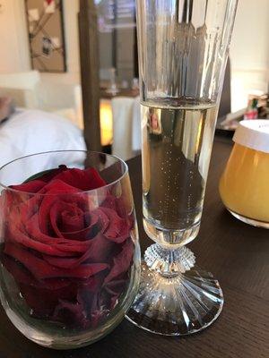 photo of Charisma P.