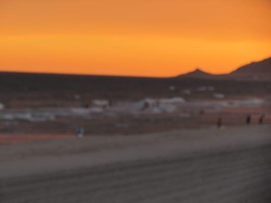 photo of Stephanie A.