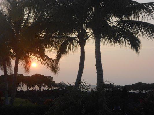 photo of Rochelle B.