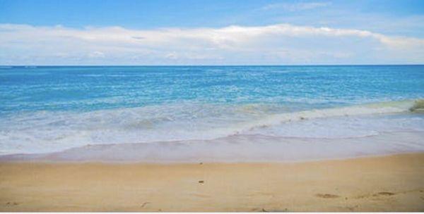 photo of Danielle K.