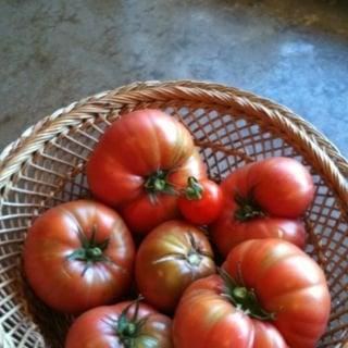 photo of Brigette R.