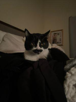 photo of Tinyaircompresser