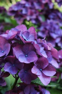 Photo of Christina O.