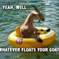 Photo of Christine S.