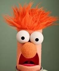 Photo of Cobbweb10 X.