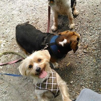 photo of Jennifer D.